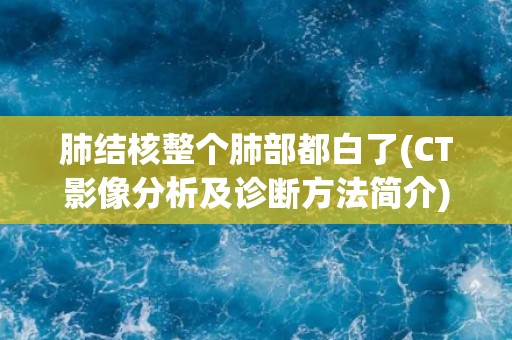 肺结核整个肺部都白了(CT影像分析及诊断方法简介)