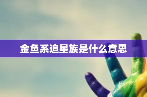 金鱼系追星族是什么意思