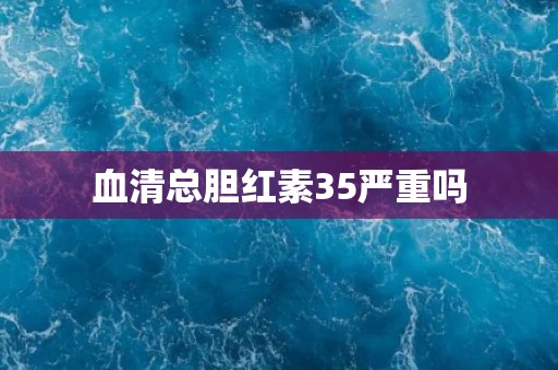 血清总胆红素35严重吗