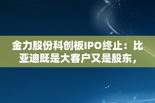 金力股份科创板IPO终止：比亚迪既是大客户又是股东，遭恩捷股份诉讼“狙击”