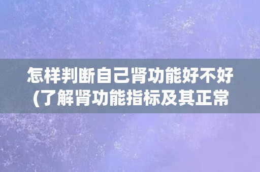 怎样判断自己肾功能好不好(了解肾功能指标及其正常范围)